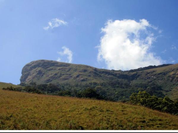  കുതിരയുടെ മുഖം