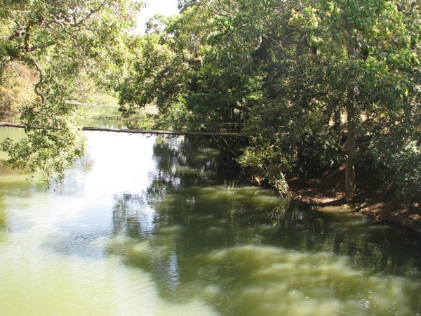 ആനസവാരിയും ബോട്ടിങ്ങും 