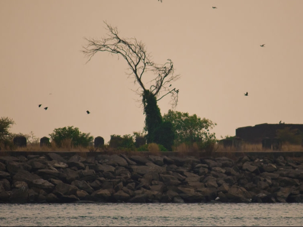 പേരുവന്ന കഥ