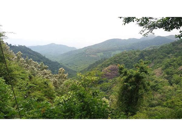 അമ്പനാട് ഹില്‍സ് 