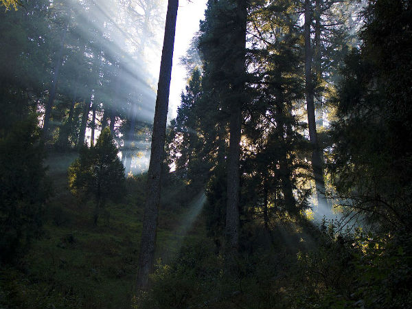 ലാല്‍ ടിബ്ബാ