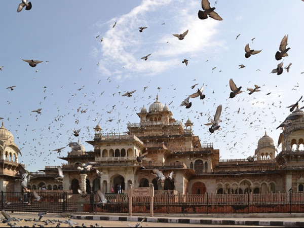 പിങ്ക് സിറ്റി