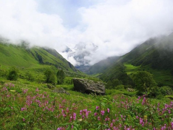 പൂക്കളുടെ താഴ്വര