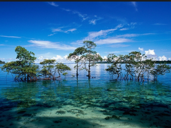 ആന്‍ഡമാന്‍ നിക്കോബാര്‍