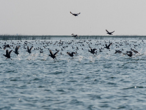 ടൂറിസ്റ്റുകളുടെ ഇഷ്ടകേന്ദ്രം