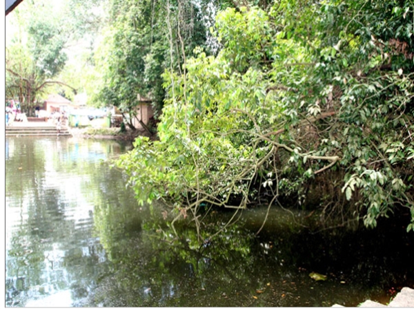 കാടിനെ നോവിപ്പിക്കാത്ത ക്ഷേത്രം