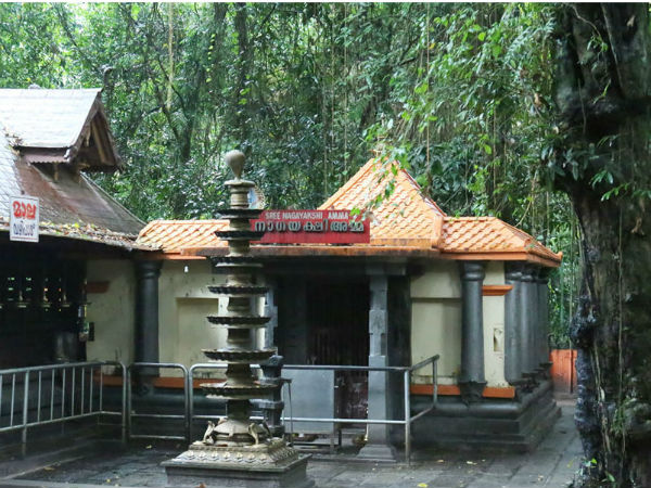 സര്‍പ്പദോഷം അകലാന്‍