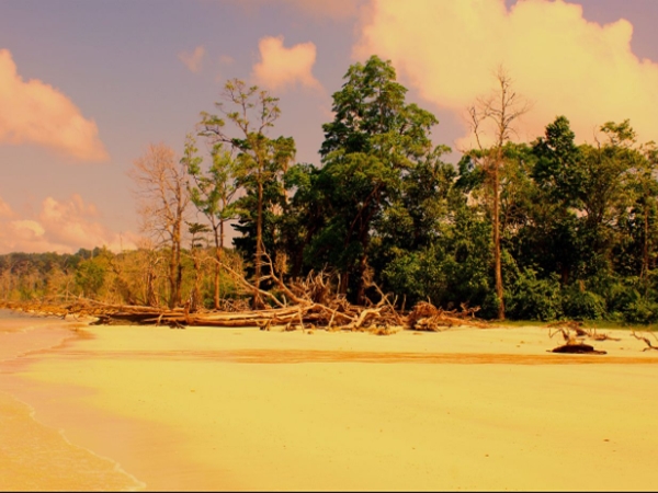 ഹാവ് ലോക്ക് ബീച്ചില്‍ നിന്നും