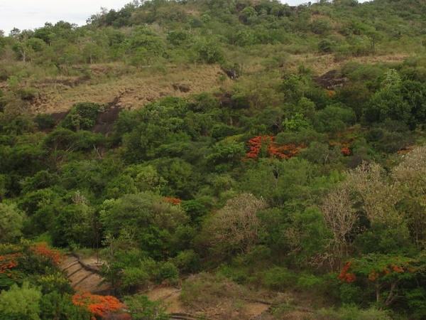 രണ്ട് സംസ്ഥാനങ്ങളിലായി 