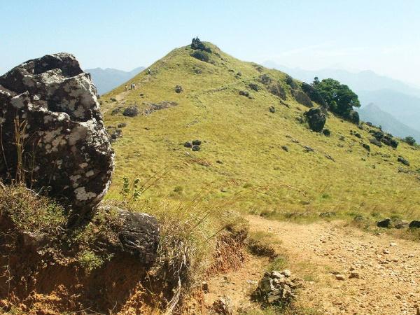  അപൂര്‍വ്വതകളുടെ കൂടാരം