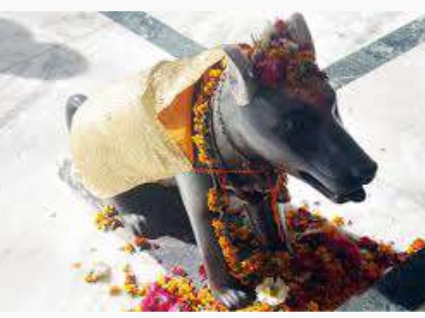 നായ ക്ഷേത്രം