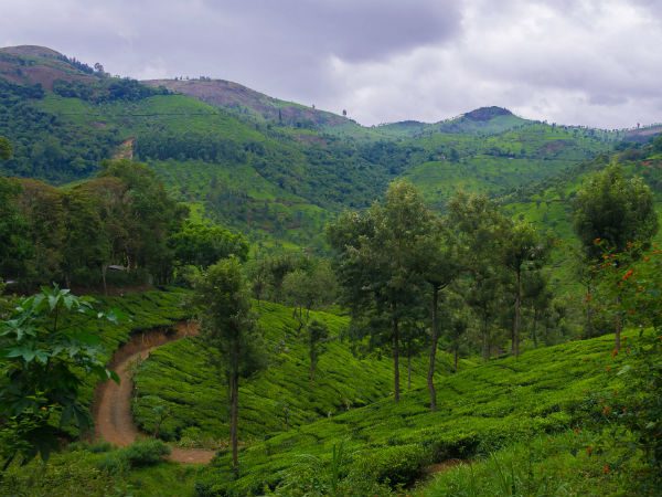 നീലഗീരീസ് ബയോസ്ഫിയര്‍ റിസര്‍വ്വ്