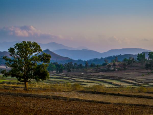 അരാകുവാലി
