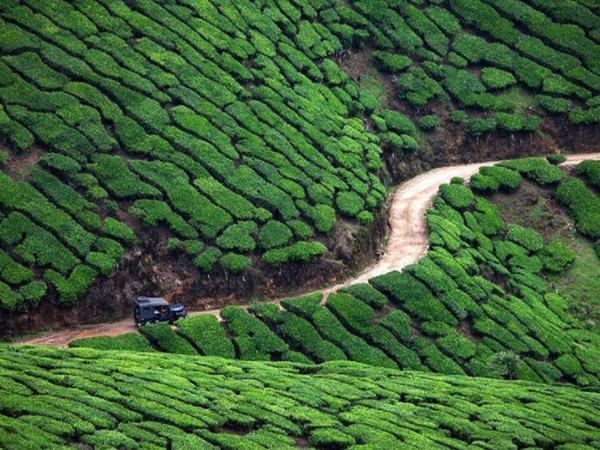  മൂന്നാര്‍