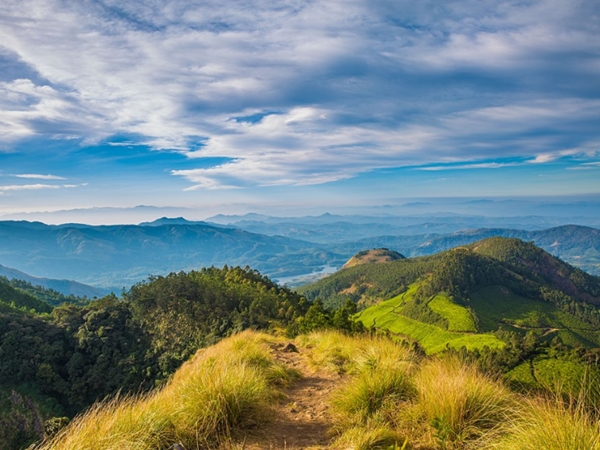 ഇടുക്കി