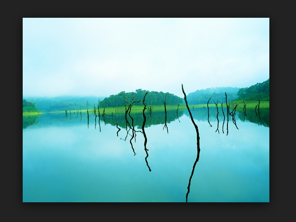  തേക്കടി