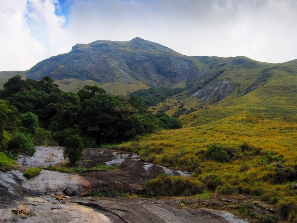 മതികെട്ടാന്‍ചോല ദേശീയോദ്യാനം