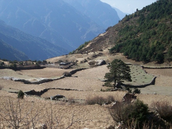 മികച്ച സമയം