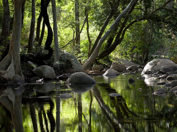 മനസ്സിനെ കെട്ടിയിടുന്നിടം