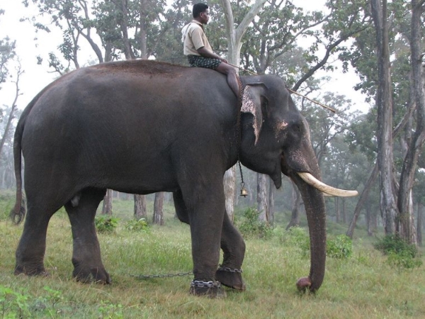 ശ്രദ്ധിക്കാന്‍