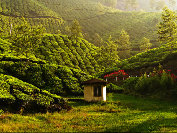 ഒലിച്ചുപോകാത്ത സ്ഥലം