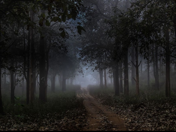 കബനിയുടെ തീരങ്ങള്‍