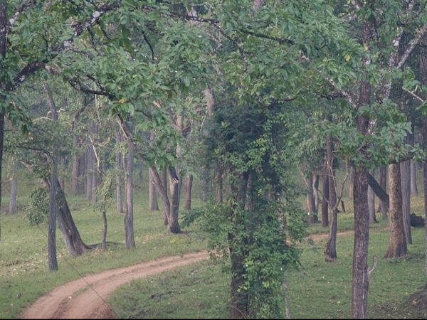 കബനി റിസര്‍വ്വ് ഫോറസ്റ്റ് 