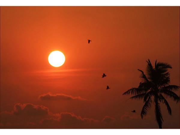 പ്രധാന കാഴ്ചകള്‍ 