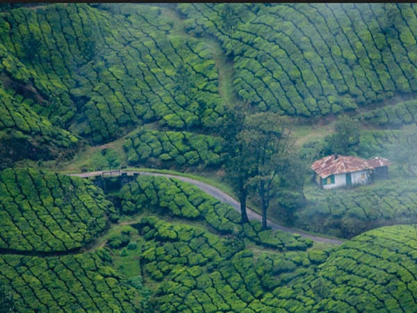 മൂന്നാര്‍