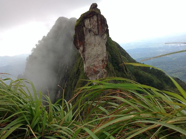 ഇല്ലിക്കല്‍ കല്ല്