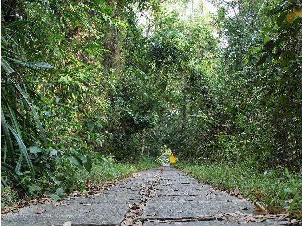 പാതിരാമണല്‍