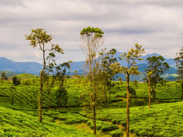 പറ്റിയ സമയം