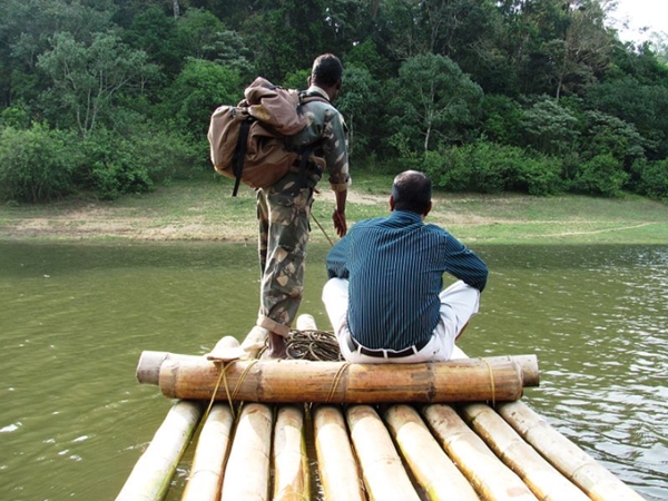 കാട്ടില്‍ പോയി കടുവകളെ കാണാം...