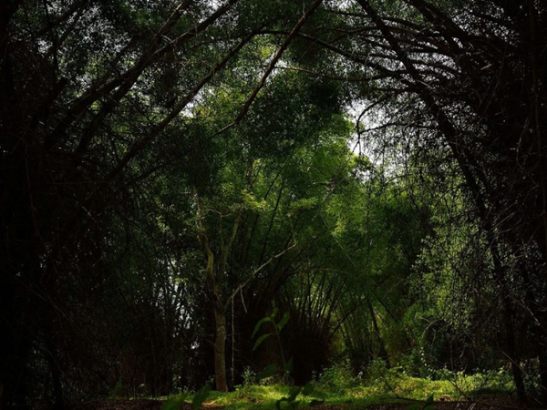 വ്യത്യസ്ത പാക്കേജുകള്‍