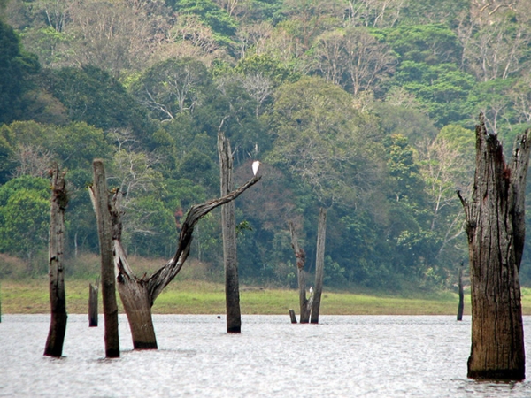 ആറുപേര്‍ മാത്രം