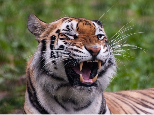 ഓര്‍മ്മിക്കാന്‍