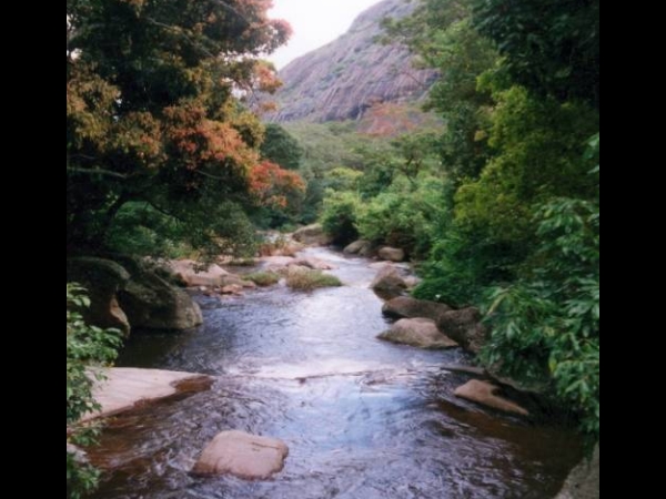 പാണ്ഡവര്‍ മറഞ്ഞിരുന്ന സ്ഥലം