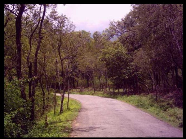 മറഞ്ഞിരിക്കുന്ന ഊര് അഥവാ ചന്ദരമരങ്ങളുടെ മറയൂര്