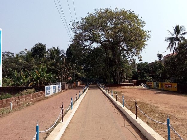 കൊടിമരവും കൊടിയേറ്റവുമില്ല