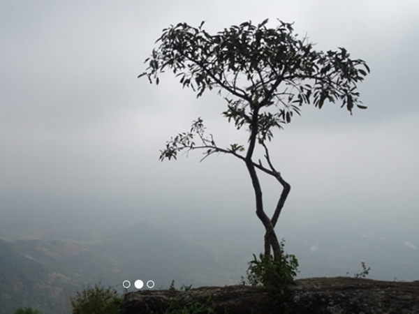 മനോഹരമായ സമതലങ്ങള്‍