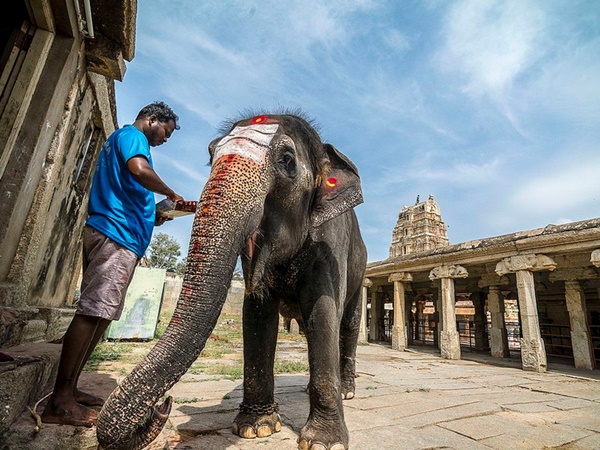 പമ്പാപതി വാഴുന്നയിടം