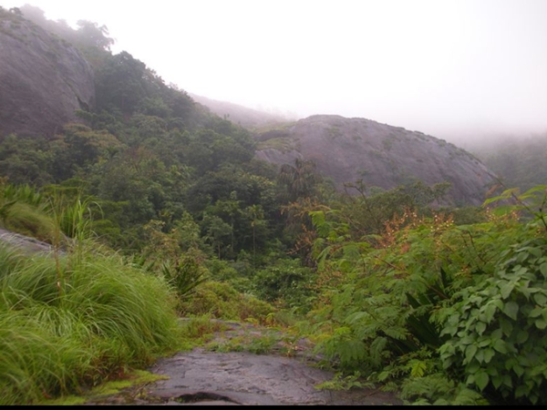 മീനിന്റെ ചെതുമ്പല്‍ പോലെ