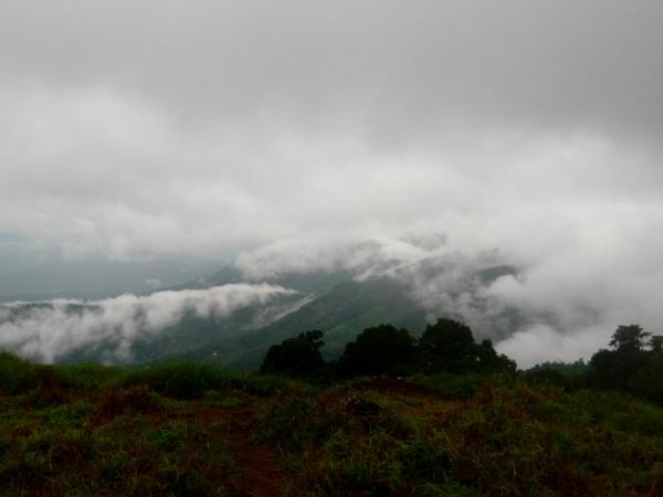 പൈതല്‍മല