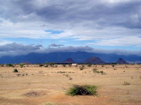മകരവിളക്കു മുതല്‍ ശിവരാത്രി വരെ