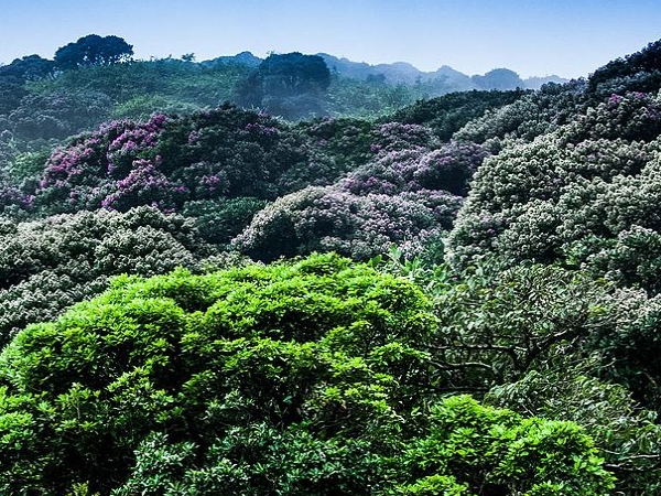 ടിക്കറ്റ് ലഭിച്ചാല്‍