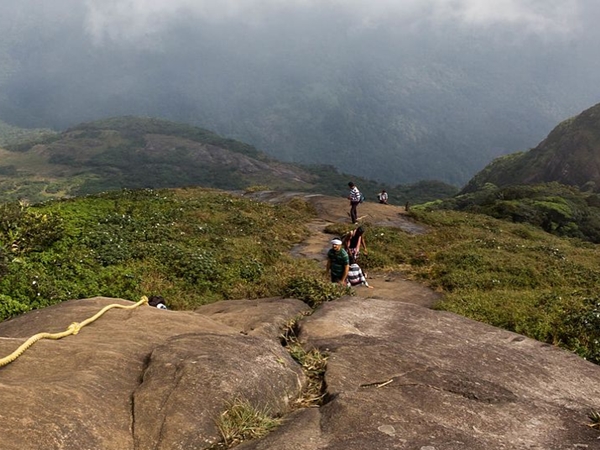 ബോണാക്കാട് നിന്നും