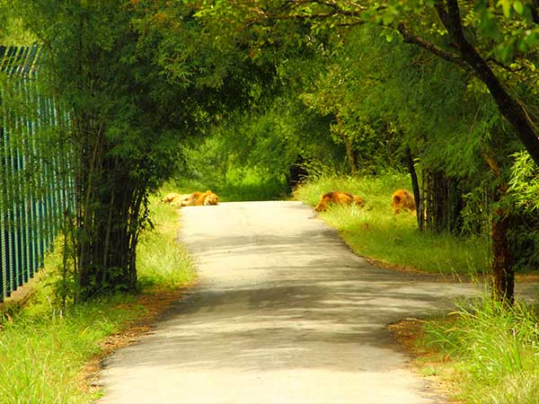 ബന്നാര്‍ഗട്ട നാഷണല്‍ പാര്‍ക്ക്