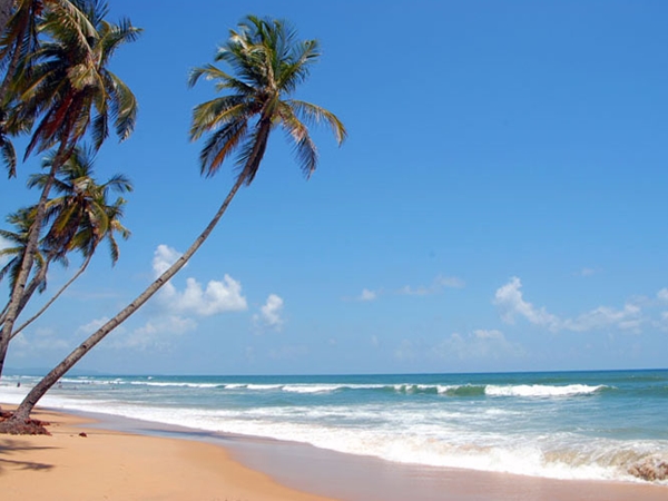 കോലാ ബീച്ച്