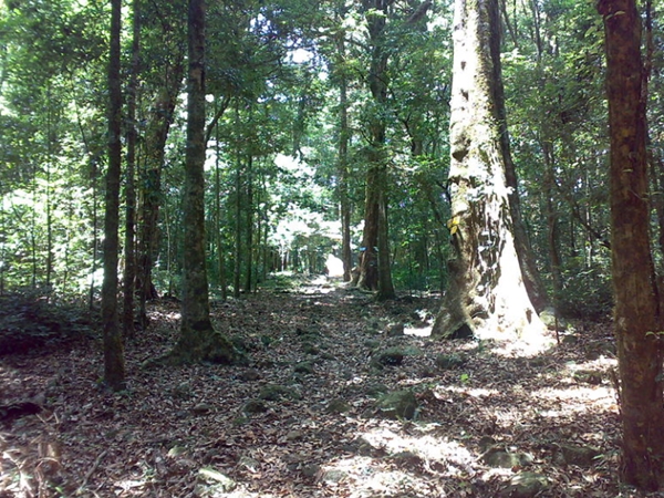  രൂപം മാറുന്ന പാതകള്‍