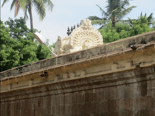 രാജാവിനു കിട്ടിയ സ്വപ്നം